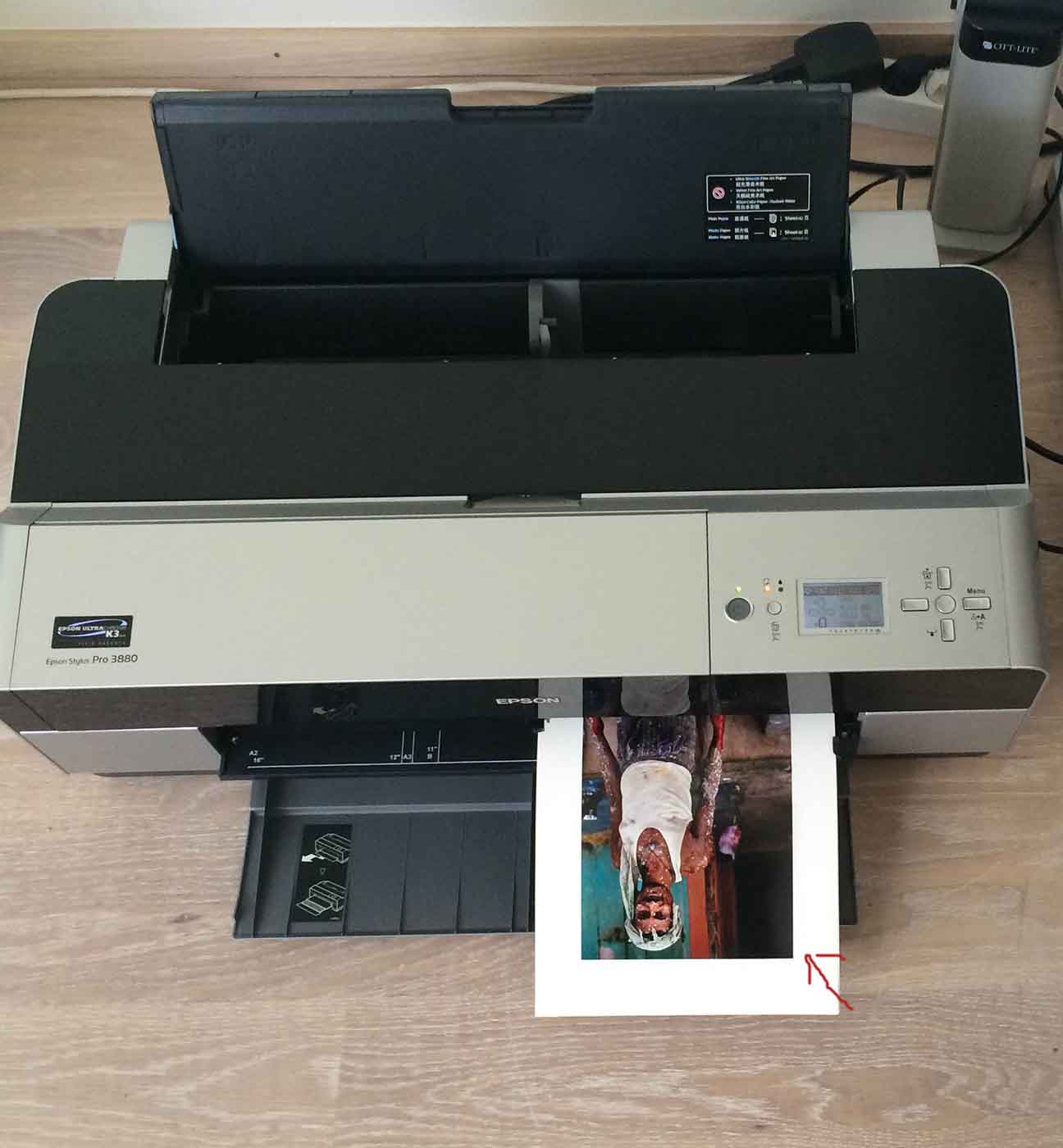 epson 3880 printer not feeding paper
